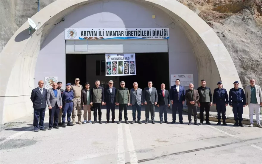 Artvin Valisi Ergün, Mantar Üretim Tesislerini İnceledi